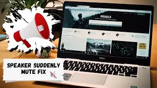 Audio suddenly muting windows 11, windows 10, dell laptop | Audio suddenly not working fix