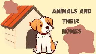 Animals and their homes | Animal shelter For Kids | New Vocabulary For Kids