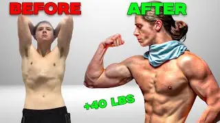 The Ultimate Bulking Guide | Free Program, Meal Ideas, Tips & Tricks