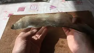 Выделываем рыбью кожу