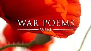 The Zonnebeke Road by Edmund Blunden | World War Poems