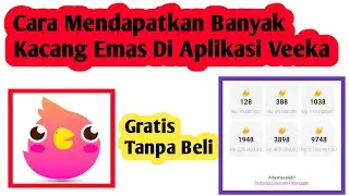 Cara Mendapatkan Kacang Emas Banyak Di Aplikasi Veeka | Cara Dapat Kacang Emas Veeka