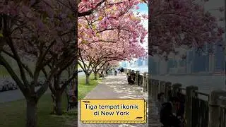 Tiga tempat ikonik di New York