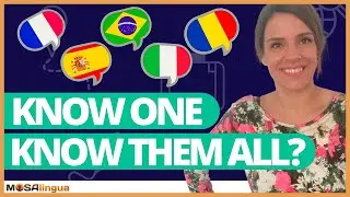 Latin-Based Languages: How Similar Are They? 🇫🇷 🇮🇹 🇪🇸 🇧🇷 🇷🇴