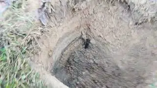Tejon! тест по глубине в грунте глубже чем по воздуху.🔥👍