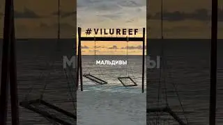 Турция. Египет. Мальдивы ОАЭ