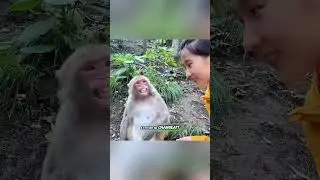 🐒❤️ Une Amitié Inattendue Entre Une Fille Et Un Petit Singe ! 