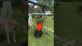 Все мужья немного Джиганы)))