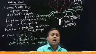 Sexual reproduction of flowering plants | Lecture -01 Class - NEET TARGET Hindi
