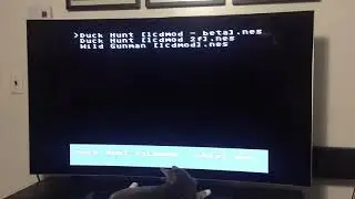 Play Duck Hunt & Wild Gunman on your LCD/OLED TV!  NESLCDMOD