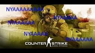 NYA!!! GO #1