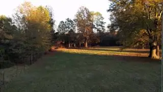 Shed walkthrough