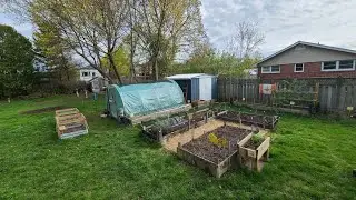 Composting, Fruit Trees, Vegetable Garden 2024 Updates