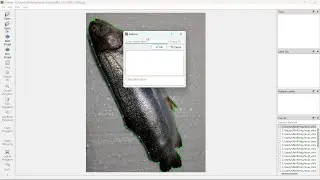 Instalar Labelme y Anaconda en Windows 11 - Ejemplos Para Crear Etiquetas en un Folder de Imágenes