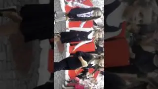 Показ школьной формы