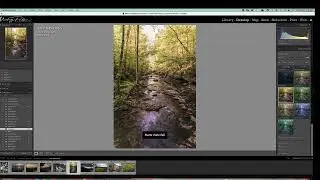 Lightroom -  Basic Panel - Details and Function (LR v11)