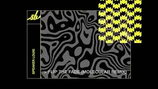 Speaker Louis - Flip The Fader (Molecular Remix)