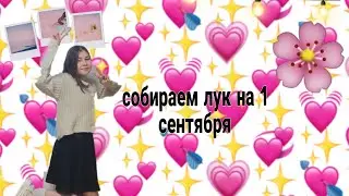 Собираем лук на 1 сентября