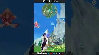 Kill 5 birds. Hidden chest. 