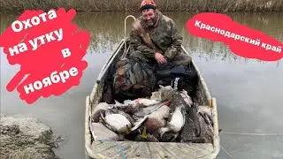 ОХОТА на УТКУ в Ноябре🦆🦆🦆! Желанные трофеи добыты.