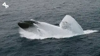 When A Torpedo Chases A Submarine, Then This Happened...