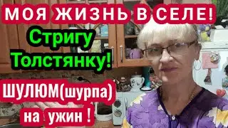 ЖИЗНЬ в СЕЛЕ! МОИ ТОЛСТЯНКИ! ШУЛЮМ на УЖИН!