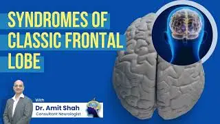 Frontal lobe | Syndromes of classic frontal lobe | Neurologist in Mumbai