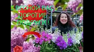 ЖЕНСКАЯ ВЕСНА  (Людмила Соколова)
