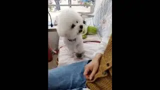 А еда когда будет?
