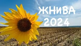 Прибирання на подвір’ї продовжується. Жнива соняшнику.
