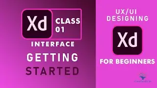 Adobe XD Tutorial: User Experience Design | Adobe XD Course| Intro to XD