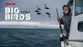 Benelli Presents: Big Apple Birds