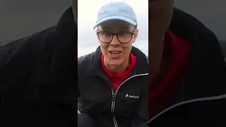 CHIP AND RUN TRICKTIP
