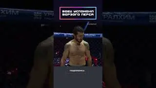 Боец успокоил борзого перса!