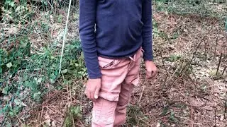 Leurs enfants ne sont jamais allés à l'école (école à la maison)