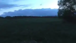 Dva kohúty :)