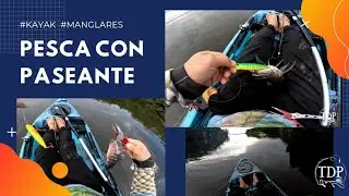PESCA EN LOS MANGLARES.  // PESCA de pargos y robalos #fishing #pesca #snapper #pargo