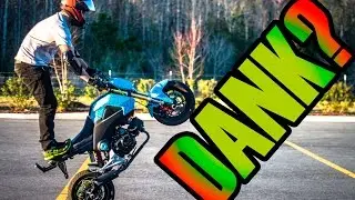 GROM SCRAPES, CIRCLES, AND WHEELIES|904 GROM SQUAD LOT DAY