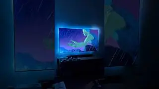 נאנוליף 4D