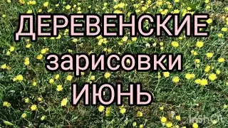 Деревенские зарисовки.Июнь.Эксперимент с картошкой.12.06.24.