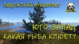Русская рыбалка 4. рр4. Ладожский архипелаг. Юго-запад что там клюет?