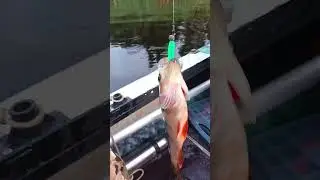 Приманки ручной работы на щуку #щука #рыбалка