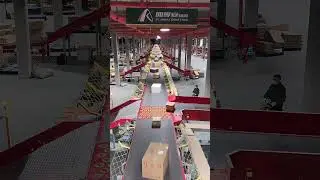 Logistics company. Automated express sorting factory