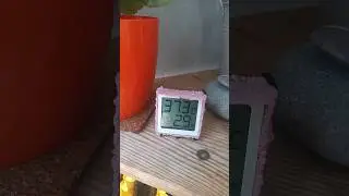 температура в Германии 13 августа - Бавария - Аугсбург! #shorts #germany #live #temperature #like