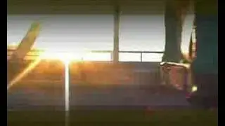 Bizarre - Shelter
