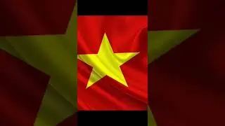 Союзники СССР
