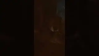 1 июля 2024 г.