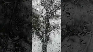 Rain on the van roof coffee break 