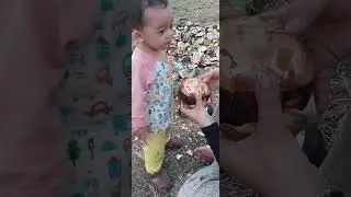 កាប់ត្នោតស៊ី ជាមួយកូន