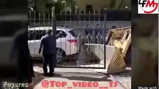 ФАҚАТ БХАНД ПРИКОЛ 😂😂😂